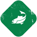 Stock fish and pond management