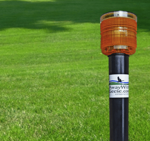 Residential Goose Control Light by Away With Geese™