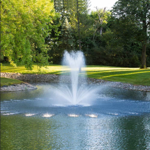 Unique pond fountain for medium sized ponds