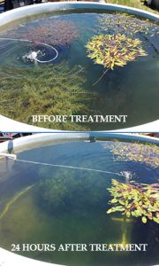 Milfoil control and algae control from Aqua Doc
