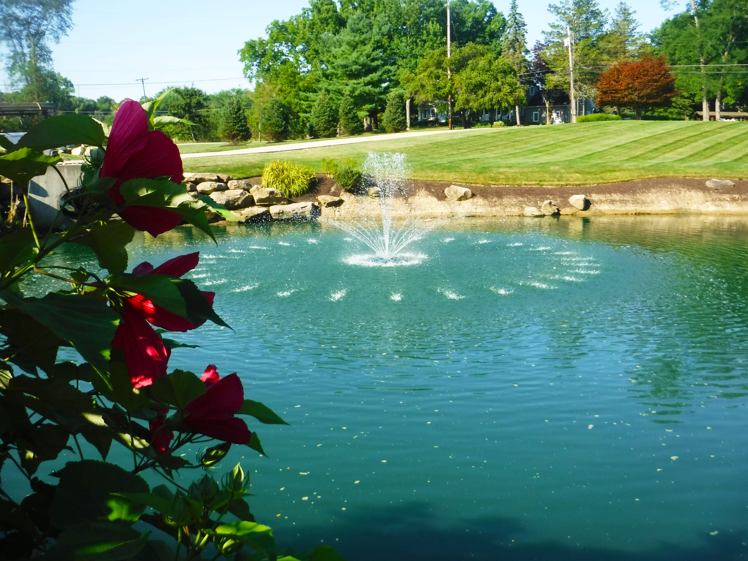 Gerald Kusar Fountain 2020